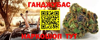 трава Кимры